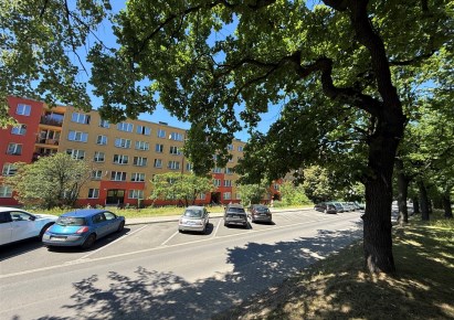 mieszkanie na wynajem - Świętochłowice, Piaśniki, Powstańców Śląskich
