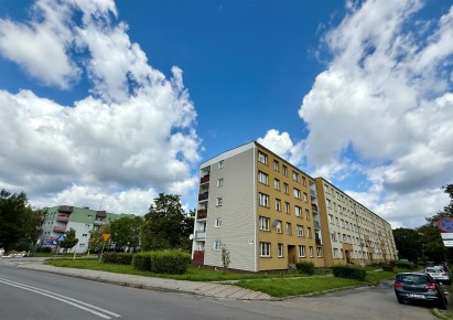 mieszkanie na wynajem - Świętochłowice, Piaśniki, Powstańców Śląskich