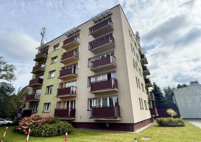 mieszkanie na sprzedaż - Świętochłowice, Zgoda, Hajduki