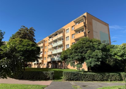 mieszkanie na wynajem - Katowice, Giszowiec, Miła