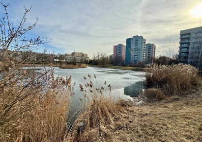 mieszkanie na sprzedaż - Chorzów, Amelung, Lipińska
