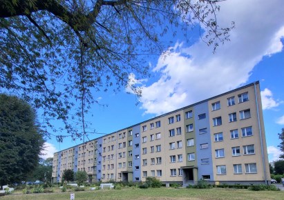 mieszkanie na sprzedaż - Świętochłowice, Powstańców Śląskich